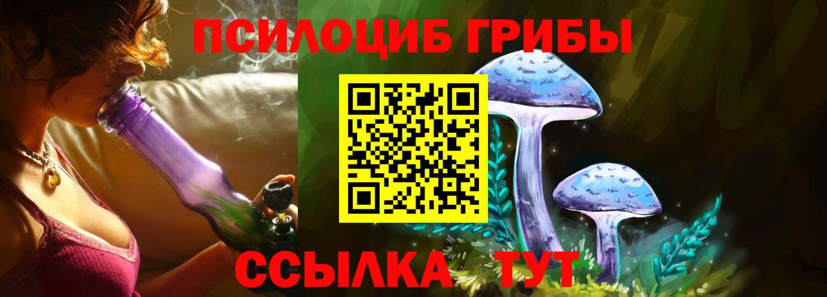 Галлюциногенные грибы Magic Shrooms Железноводск